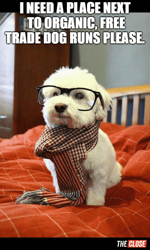 Hipster buyers are ruff meme